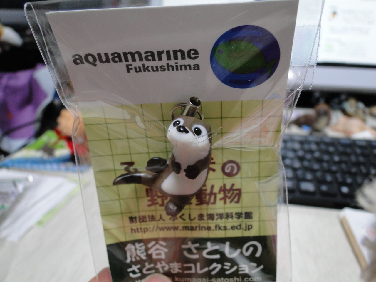 こんなの買いました アクアマリンふくしまのお土産 かわうそ日和