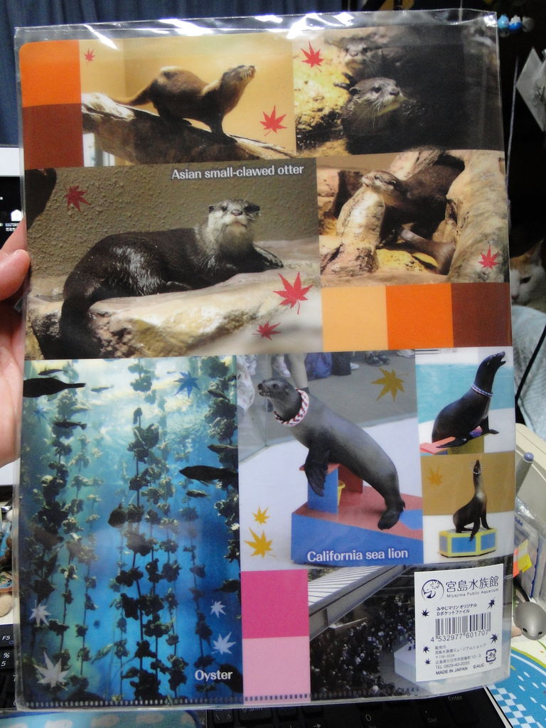 久々のお買いもの 宮島水族館のカワウソグッズ かわうそ日和 久々のお買いもの 宮島水族館のカワウソグッズ かわうそ日和