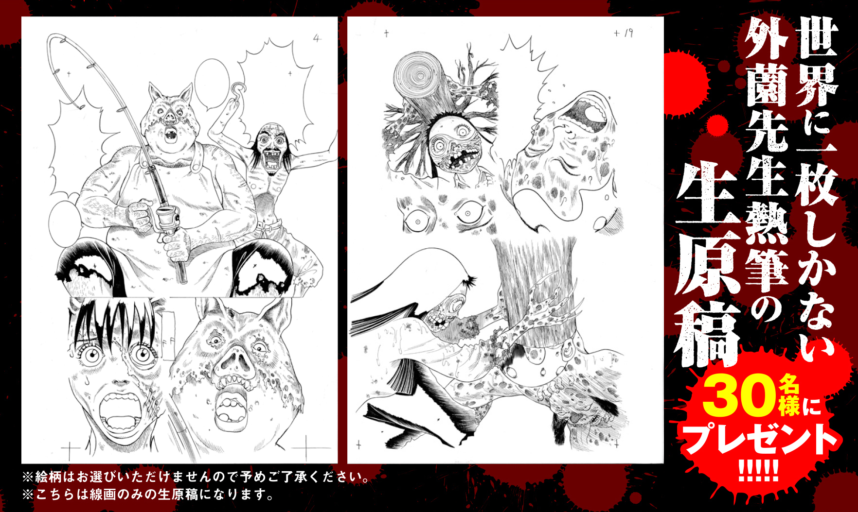 上部削除kckjm_presentkokuchi_原稿箇所切り抜き