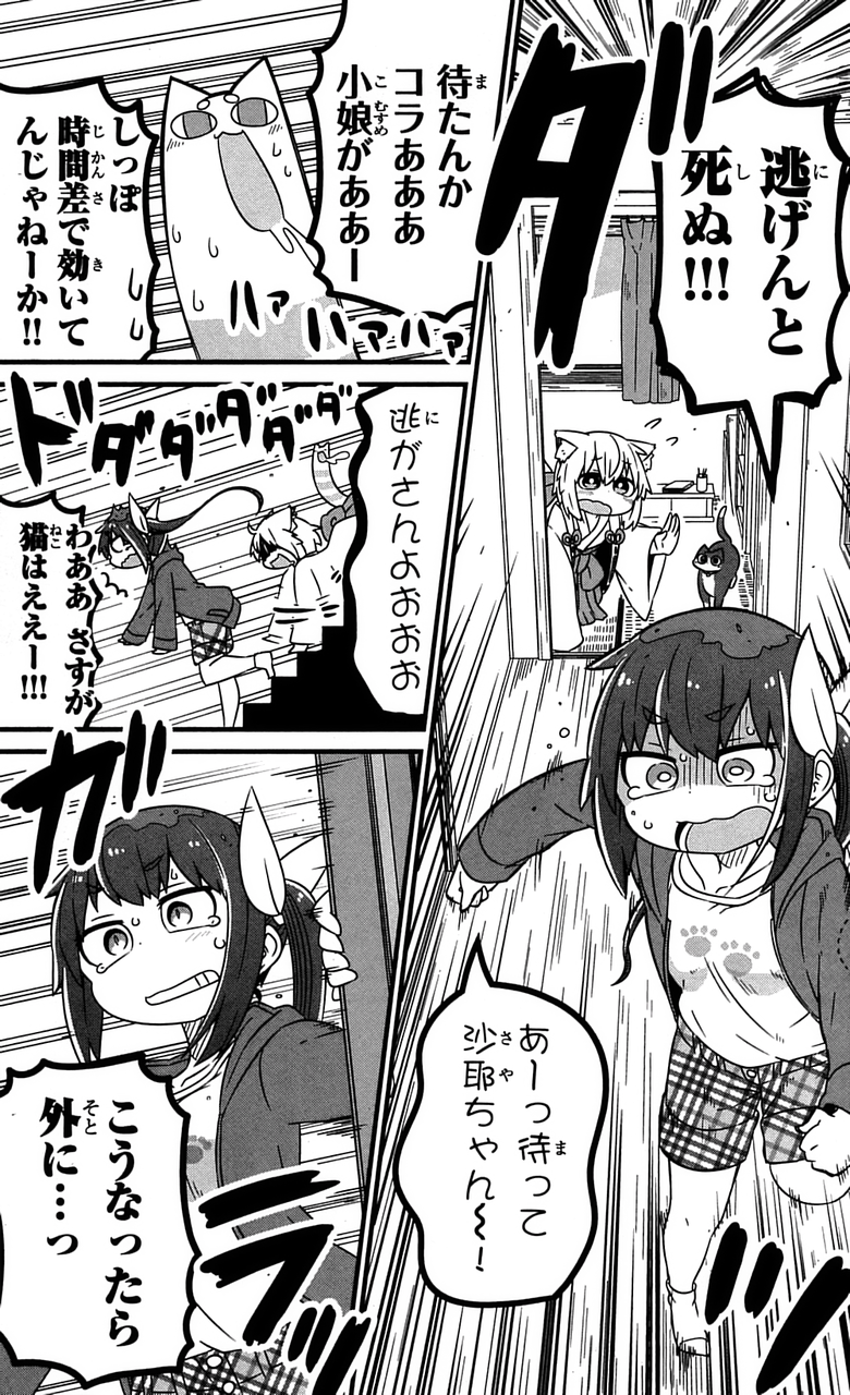 猫神じゃらし 2巻 の感想 とりあえず適当に漫画感想blog 猫神じゃらし 2巻 の感想 とりあえず適当に漫画感想blog