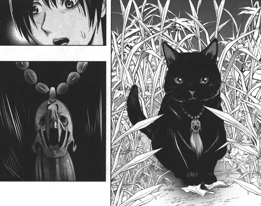 火葬場のない町に鐘が鳴る時 5巻 の感想 とりあえず適当に漫画感想blog 火葬場のない町に鐘が鳴る時 5巻 の感想 とりあえず適当に漫画感想blog