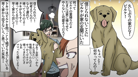 犬アレ10