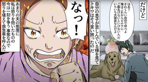 犬アレ12