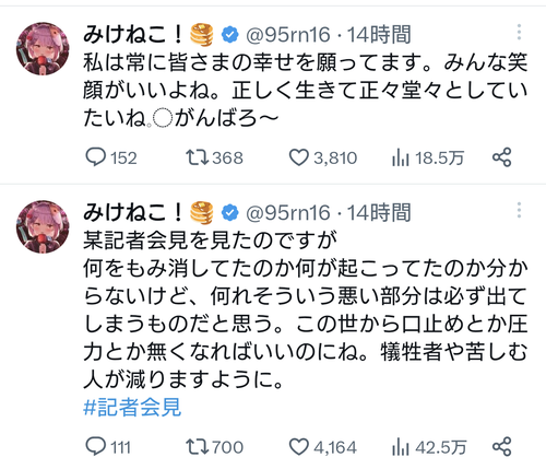 みけねこ(元るしあさん)お前が言うなをしてしまう