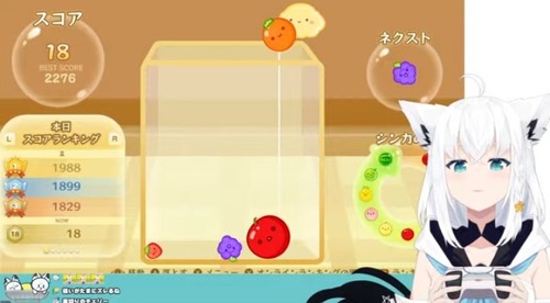 お前ら何で白上フブキちゃんのスイカゲーム見ないの？