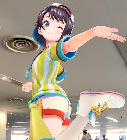 【悲報】ホロライブVtuber大空スバルさん、叡智絵や薄い本がホロメン随一の多さだった【メス】