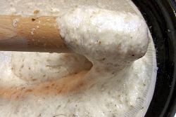 おせん　とろろ飯