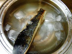 カツオ　氷水