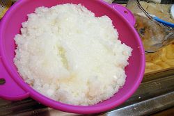 RIMG5280_20100404134323.jpg