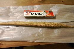 おせん とろろ飯