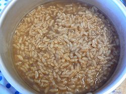 冷たいムギ茶がゆ