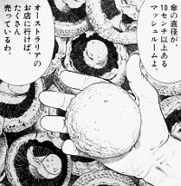 「美味しんぼ」（雁屋哲/花咲アキラ/小学館）59巻より