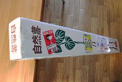 おせん　とろろ飯