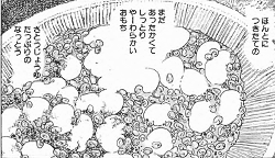 koma.gif