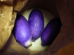 あけびを米びつに