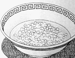 koma_20090817225351.gif