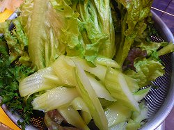 美味しんぼ 雁屋哲 花咲アキラ の究極のサラダ マンガ食堂 漫画の料理 レシピ 漫画飯 を再現 Powered By ライブドアブログ 美味しんぼ 雁屋哲 花咲アキラ の究極のサラダ マンガ食堂 漫画の料理 レシピ 漫画飯 を再現 Powered By ライブドアブログ