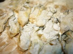 小麦粉
