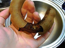 タマリンド