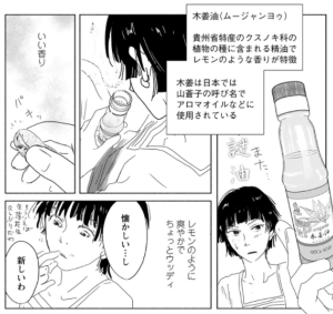 koma2