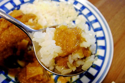 水なしカレー