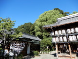 こんなに晴れなくても