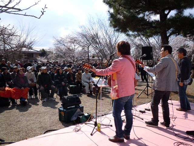 青春のフォークライブ 宇治川さくらまつり 満月堂