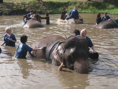 CHANG MAI 2010 307