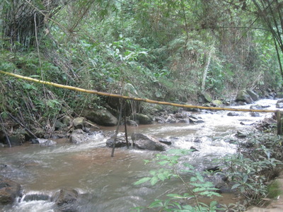 CHANG MAI 2010 109