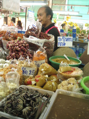 CHANG MAI 2010 448