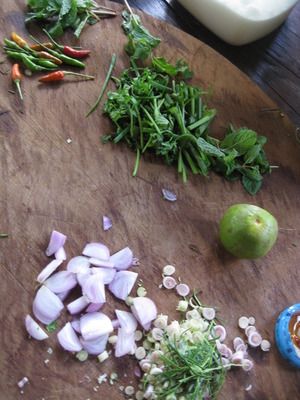 CHANG MAI 2010 522