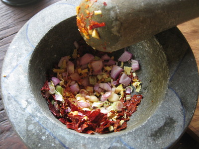 CHANG MAI 2010 462