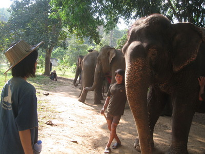 CHANG MAI 2010 242