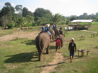 CHANG MAI 2010 287