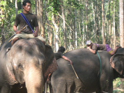 CHANG MAI 2010 272