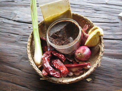CHANG MAI 2010 461