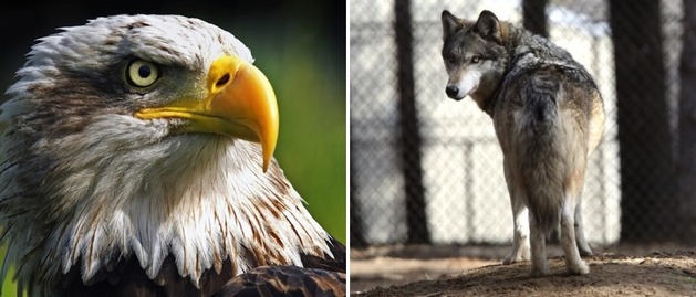 東京倶樂部 Club Tokyo 大陸ドラマ