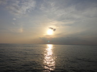 DSC09254