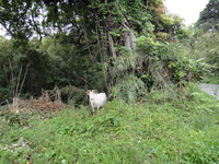 DSC06593
