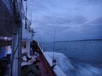 DSC09013