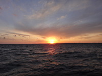 DSC09072