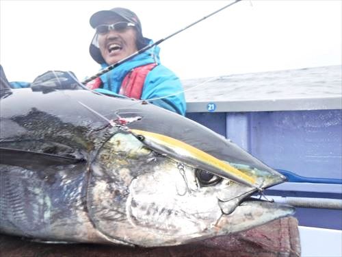 日立沖のキハダ Mangrove Studio Diary