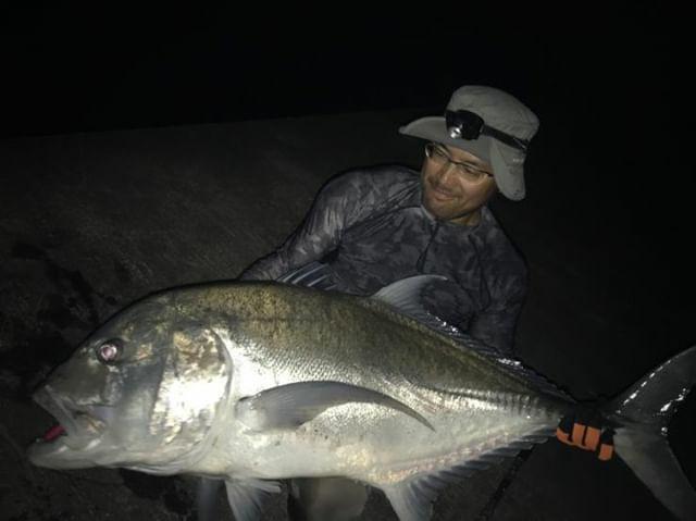 母島 堤防 ロック Mangrove Studio Diary 母島 堤防 ロック Mangrove Studio Diary