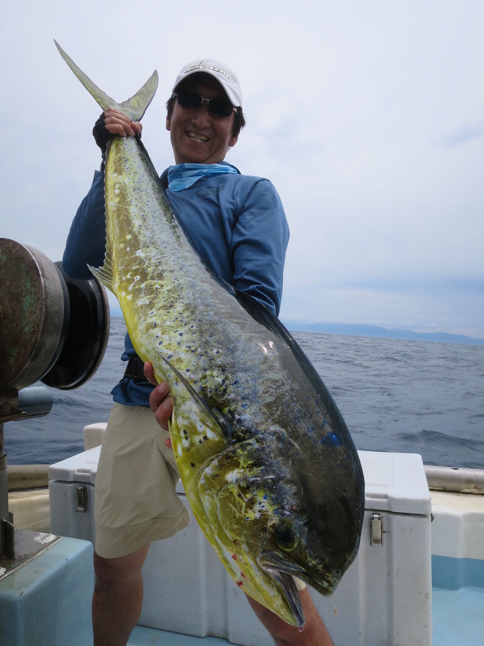 ナイスサイズのシイラを求めて 高知 土佐湾遠征 Mangrove Studio Diary