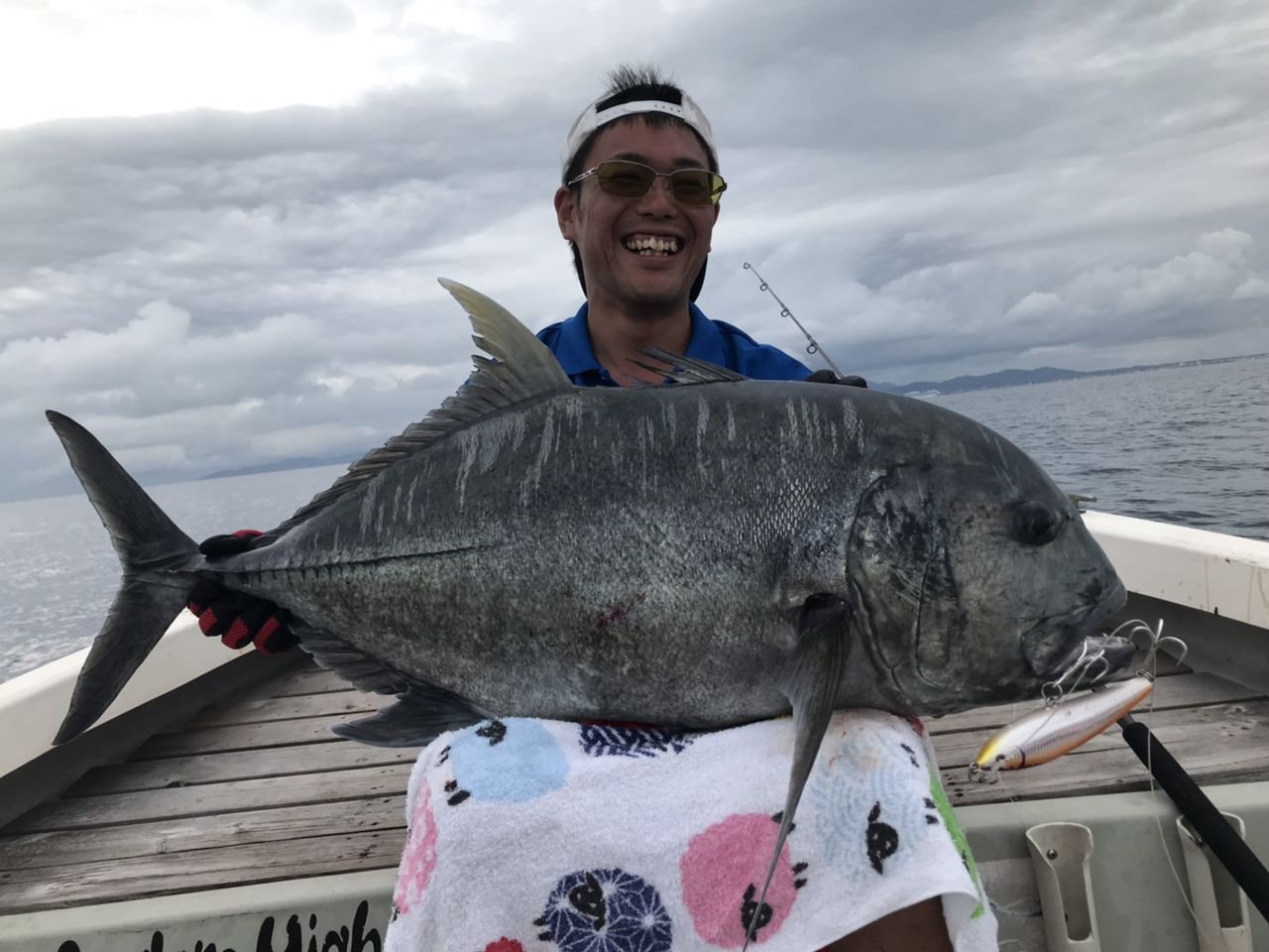 石垣島 浮きボラgt Mangrove Studio Diary