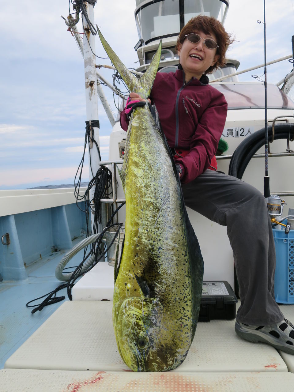 ナイスサイズのシイラを求めて 高知 土佐湾遠征 Mangrove Studio Diary