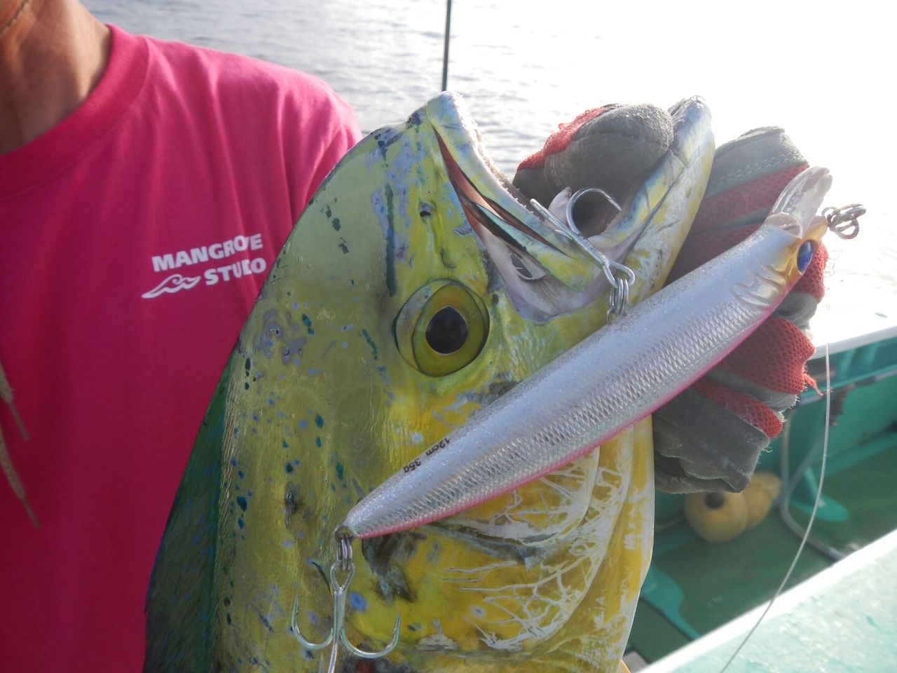 オフショア シイラ Mangrove Studio Diary