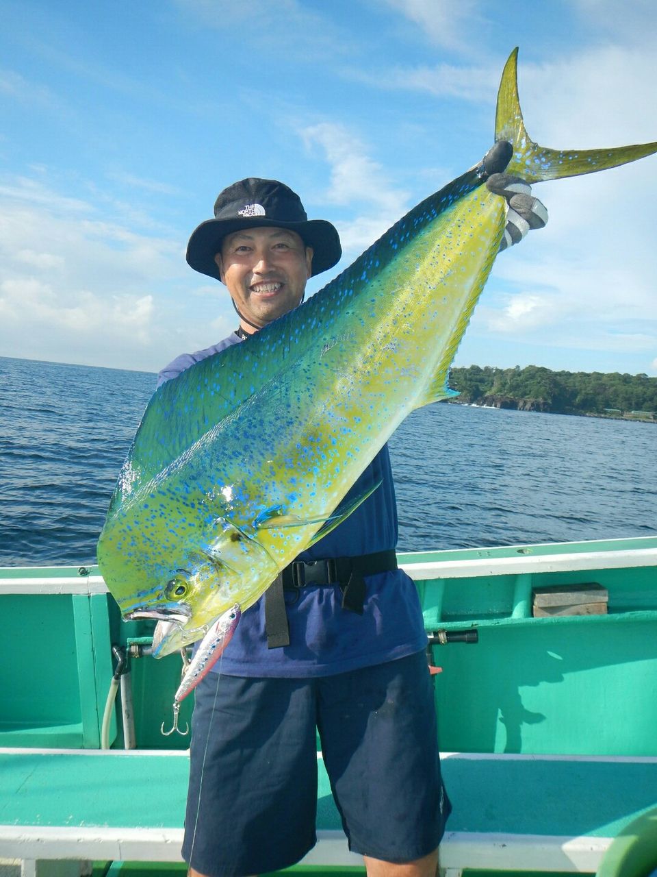 オフショア シイラ Mangrove Studio Diary オフショア シイラ Mangrove Studio Diary