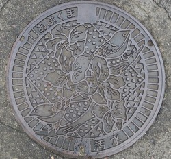 41・白河市5・旧東村