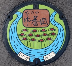 日高市3